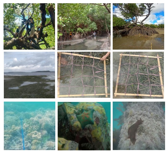 Field observation of coastal ecosystems in Atubul Da Village